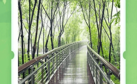 不可辜負的美，與春天有個約會